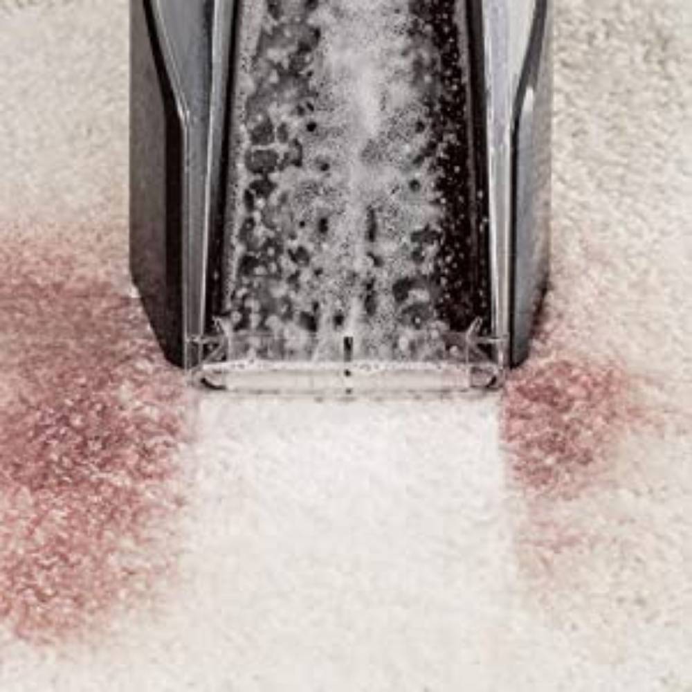 Pet Stain Cleaner: image 4