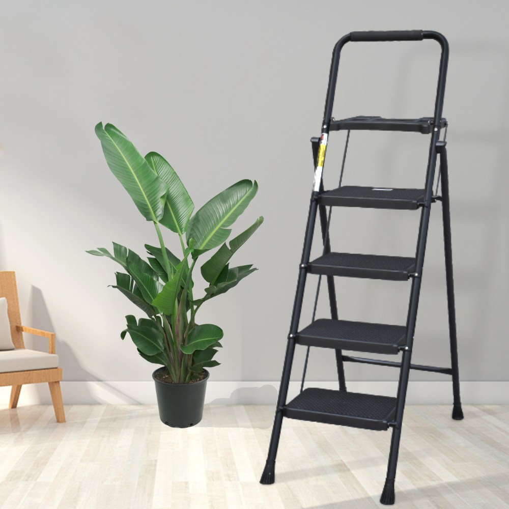 Step Ladder, 2-Step: image 1